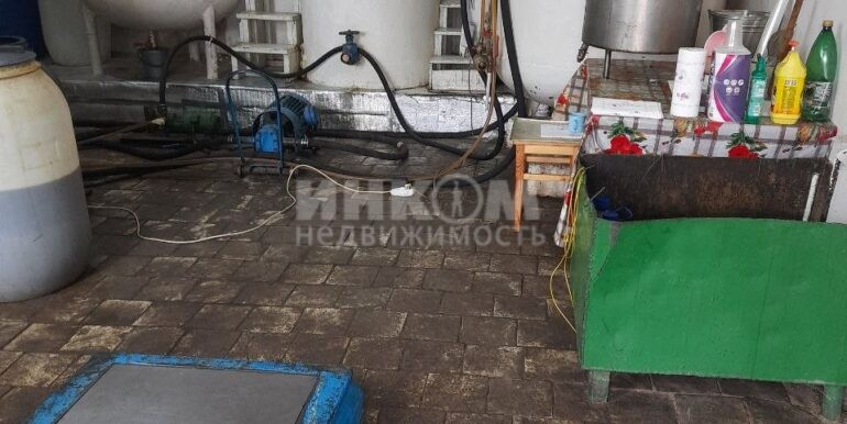 IMG_20241203_213104_872