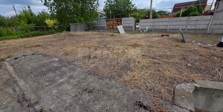 IMG_3930